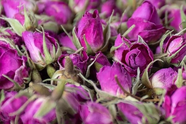 تصویر 1 از خرید غنچه گل محمدی عمده + بهترین قیمت